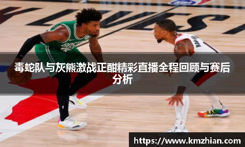 毒蛇队与灰熊激战正酣精彩直播全程回顾与赛后分析